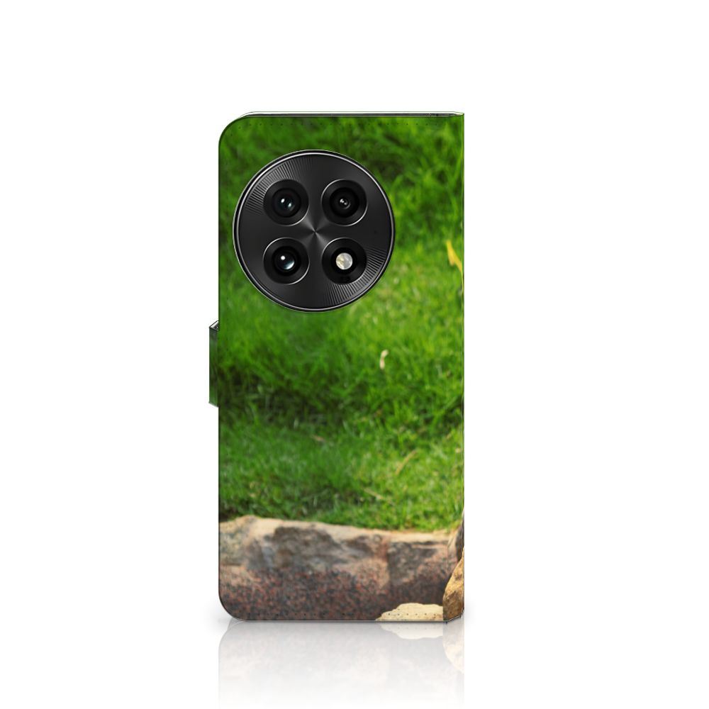 OnePlus 13 Telefoonhoesje met Pasjes Panda telefoonhoesje panda design voorkant