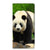 OnePlus Nord CE 2 Lite 5G Hoesje maken Panda met schattige panda afbeelding voor gebruikersvriendelijke bescherming 🐼
