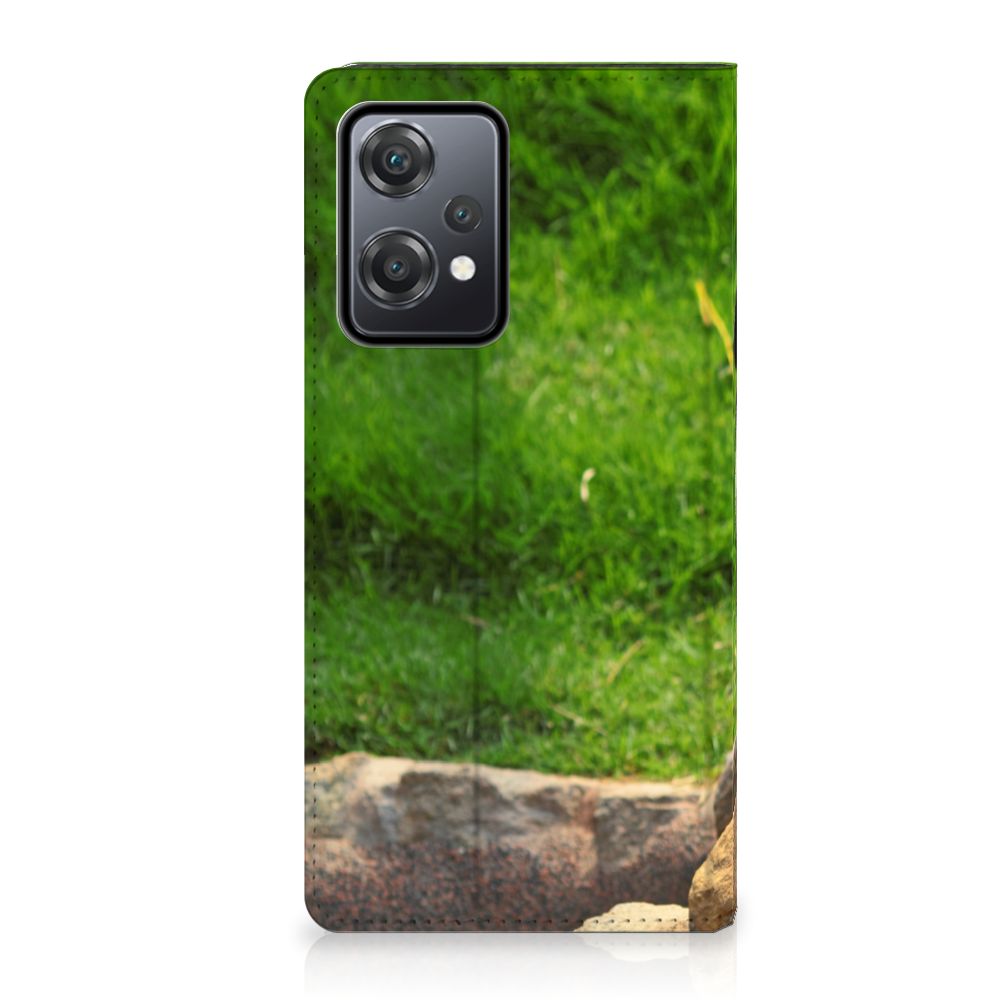 OnePlus Nord CE 2 Lite 5G Hoesje maken Panda met een schattige afbeelding van een panda op een groene achtergrond.