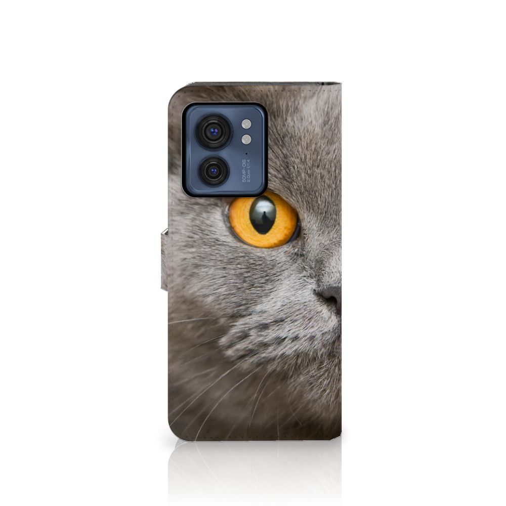 Telefoonhoesje met Pasjes Motorola Edge 40 Britse Korthaar met afbeelding van grijze kat