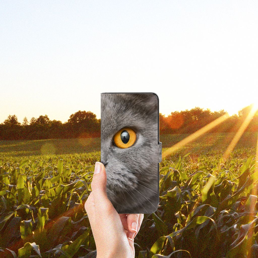 Telefoonhoesje met Pasjes Samsung Galaxy M53 Britse Korthaar in hand met zonne-stralen op de achtergrond.