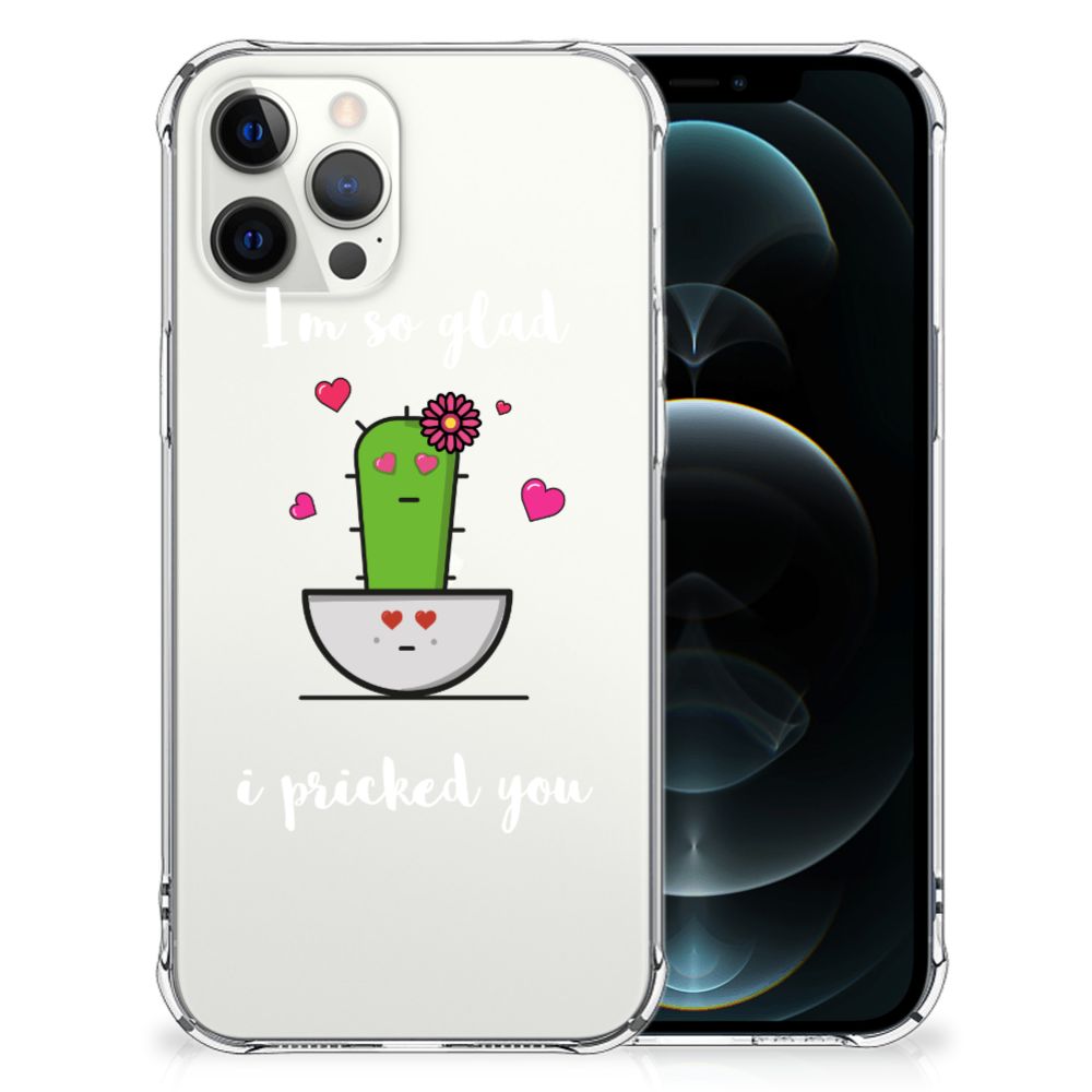 iPhone 12 Pro Max Stevig Bumper Hoesje Cactus Glad B2C Telecom