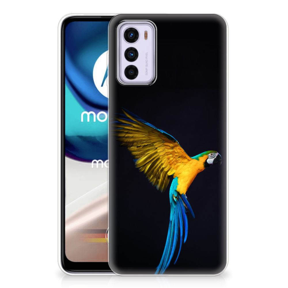 Motorola Moto G42 TPU Hoesje Papegaai B2C Telecom