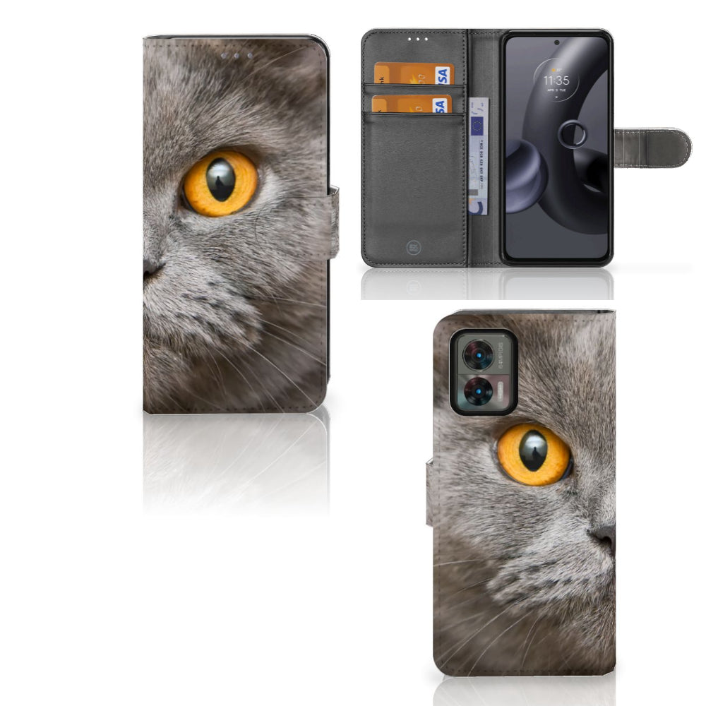 Telefoonhoesje met Pasjes Motorola Edge 30 Neo Britse Korthaar met afbeelding van kat en pasjeshouder.