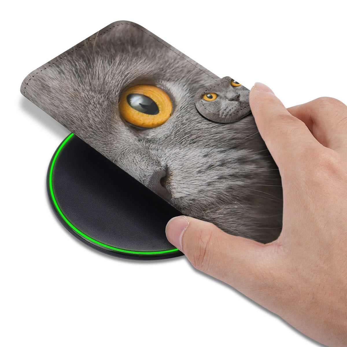 Britse Korthaar bookcase om een iPhone 18 Pro, vastgehouden in de hand met de kat zichtbaar