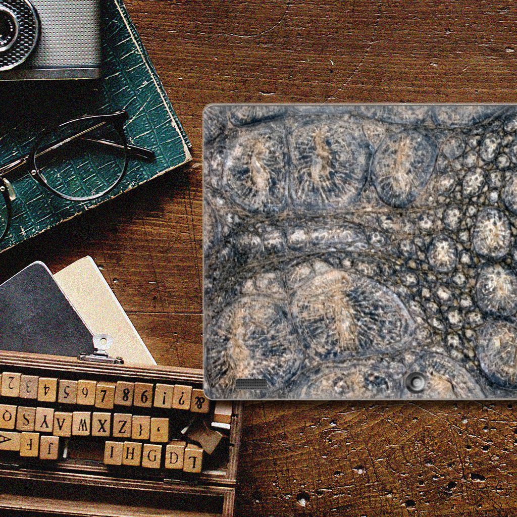 Lenovo Tab 10 | Tab 2 A10-30 Back Case Krokodillenprint