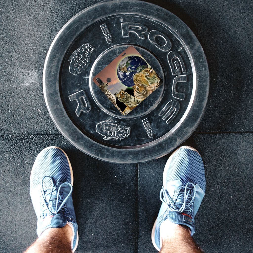 Huawei P Smart Plus Hoesje maken Roofdieren