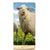 Samsung Galaxy A22 5G Hoesje maken Schaap en Lammetje - B2C Telecom