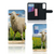 Huawei P40 Telefoonhoesje met Pasjes Schaap en Lammetje