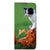 OnePlus Nord CE 2 5G Hoesje maken Kitten - B2C Telecom