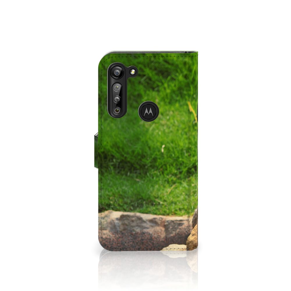 Motorola G8 Power Telefoonhoesje met Pasjes Panda