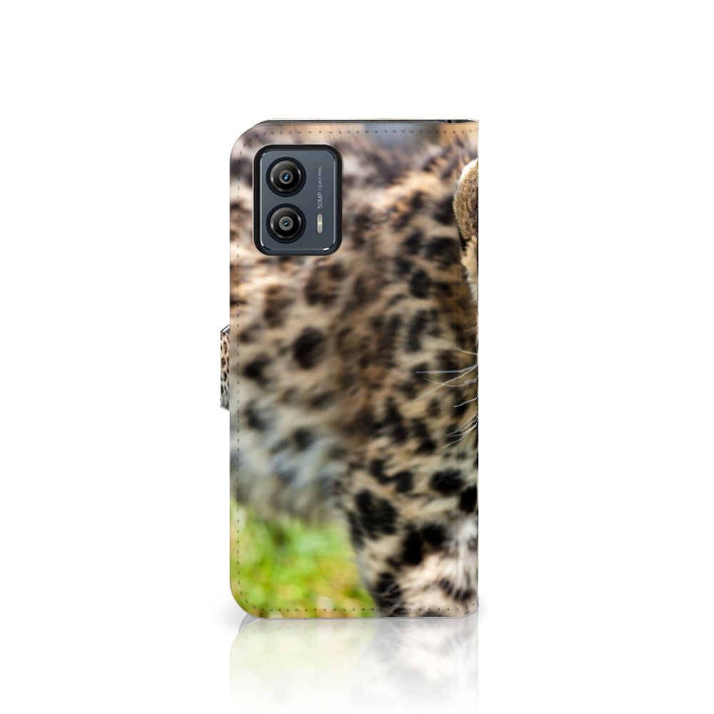 Motorola Moto G53 Telefoonhoesje met Pasjes Baby Luipaard