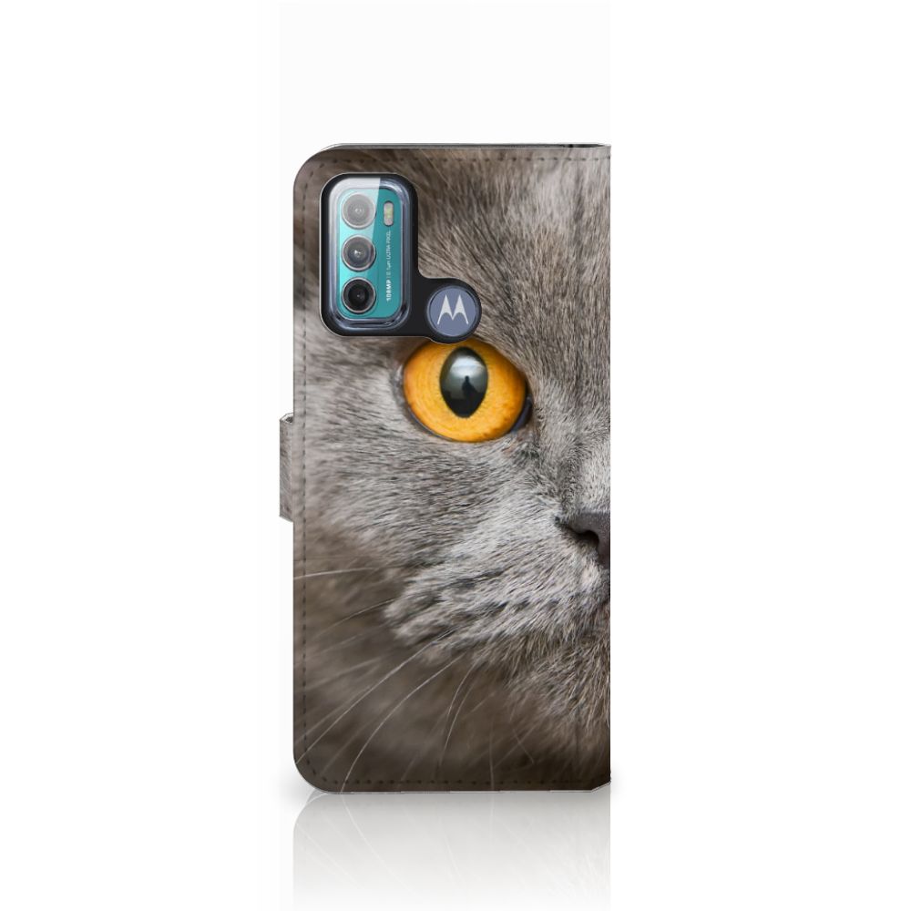 Telefoonhoesje met Pasjes Motorola Moto G60 Britse Korthaar met imposante kat met gele ogen.