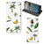 Nokia 2.4 Smart Cover Banana Tree