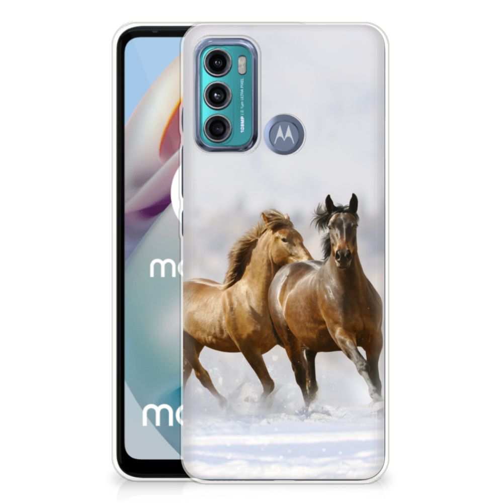 Motorola Moto G60 TPU Hoesje Paarden B2C Telecom