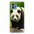 otorola Moto G72 Case Anti-shock Panda