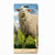 Nokia 3.1 (2018) Hoesje maken Schaap en Lammetje