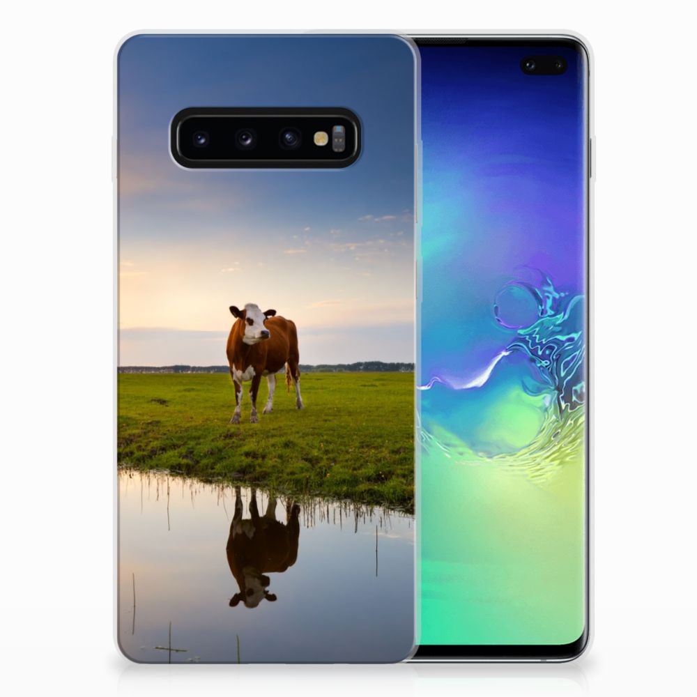 Samsung Galaxy S10 Plus TPU Hoesje Koe