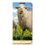 OPPO A96 | A76 Hoesje maken Schaap en Lammetje - B2C Telecom
