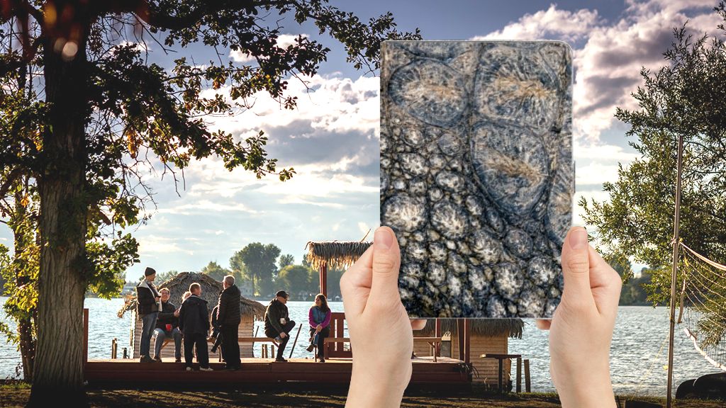 Flip Case Krokodillenprint - voorkant