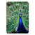 iPad Pro 11 (2024) Back Case Pauw pauw design achterzijde