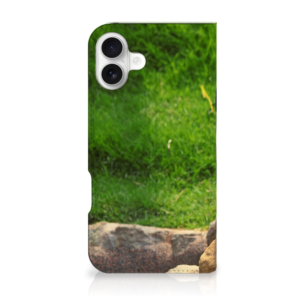 iPhone 16 Plus Hoesje maken Panda design hoesje voorkant