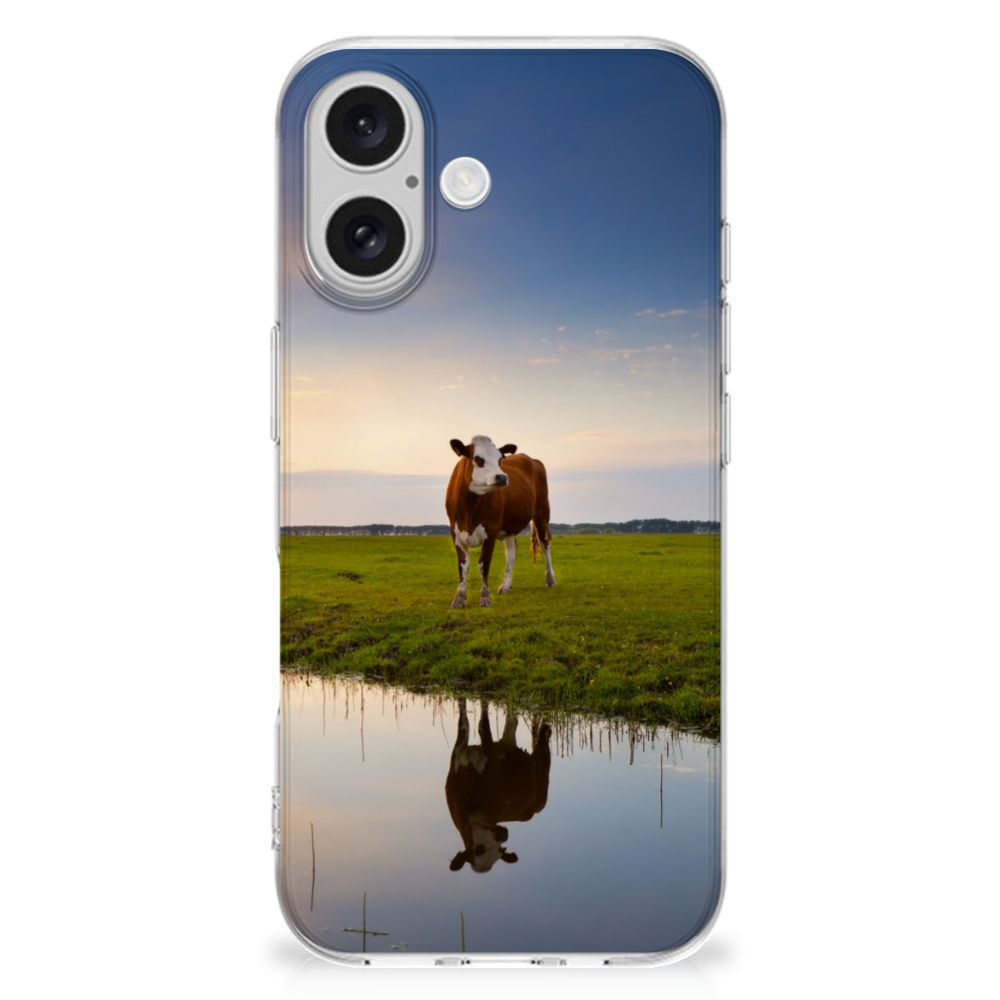 iPhone 16 TPU Hoesje Koe koe ondergang zon reflectie natuur
