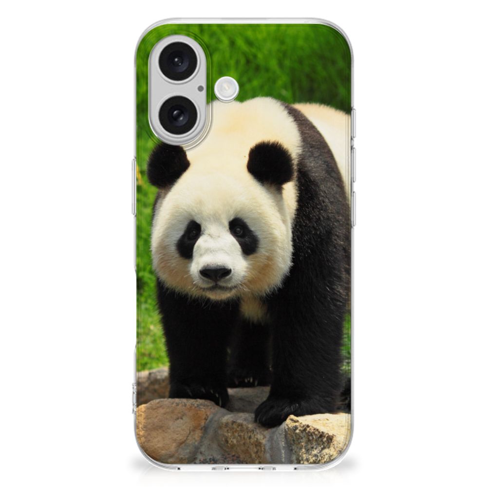 iPhone 16 TPU Hoesje Panda panda design voorkant